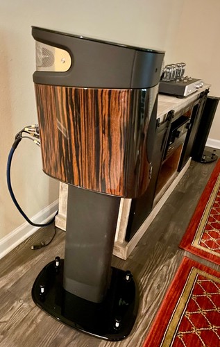Focal sopra pair - n1,